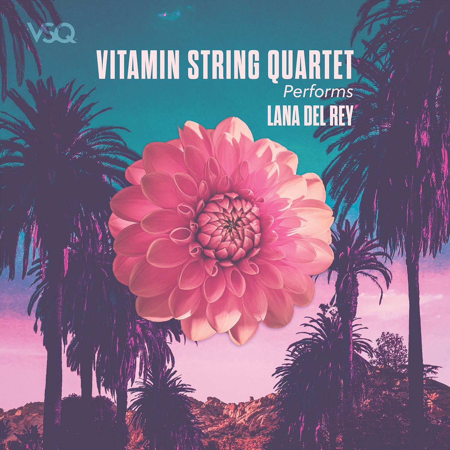 dahlia and palm strings album art for VSQ lana del rey instrumental covers