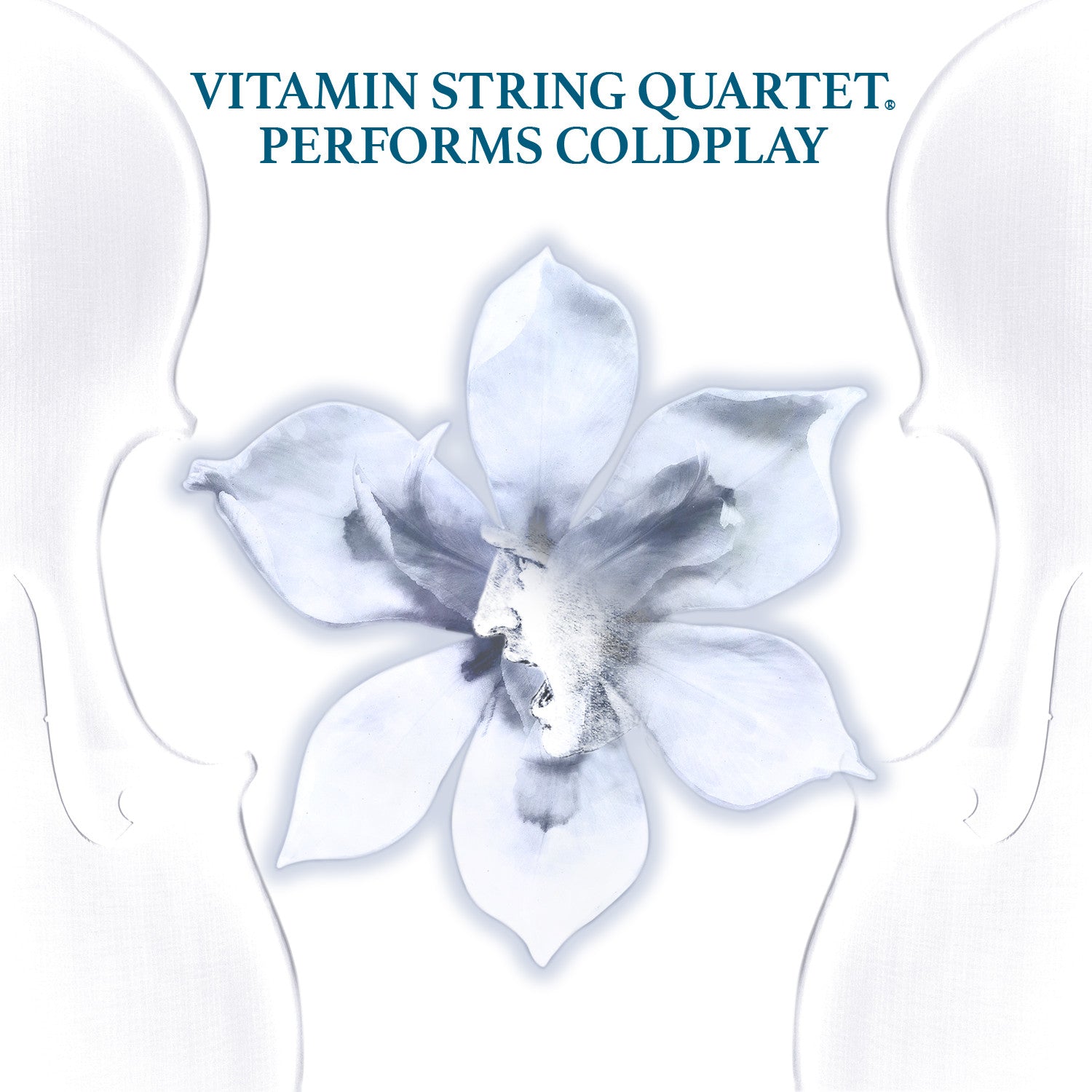 vitamin string quartet vsq coldplay tribute