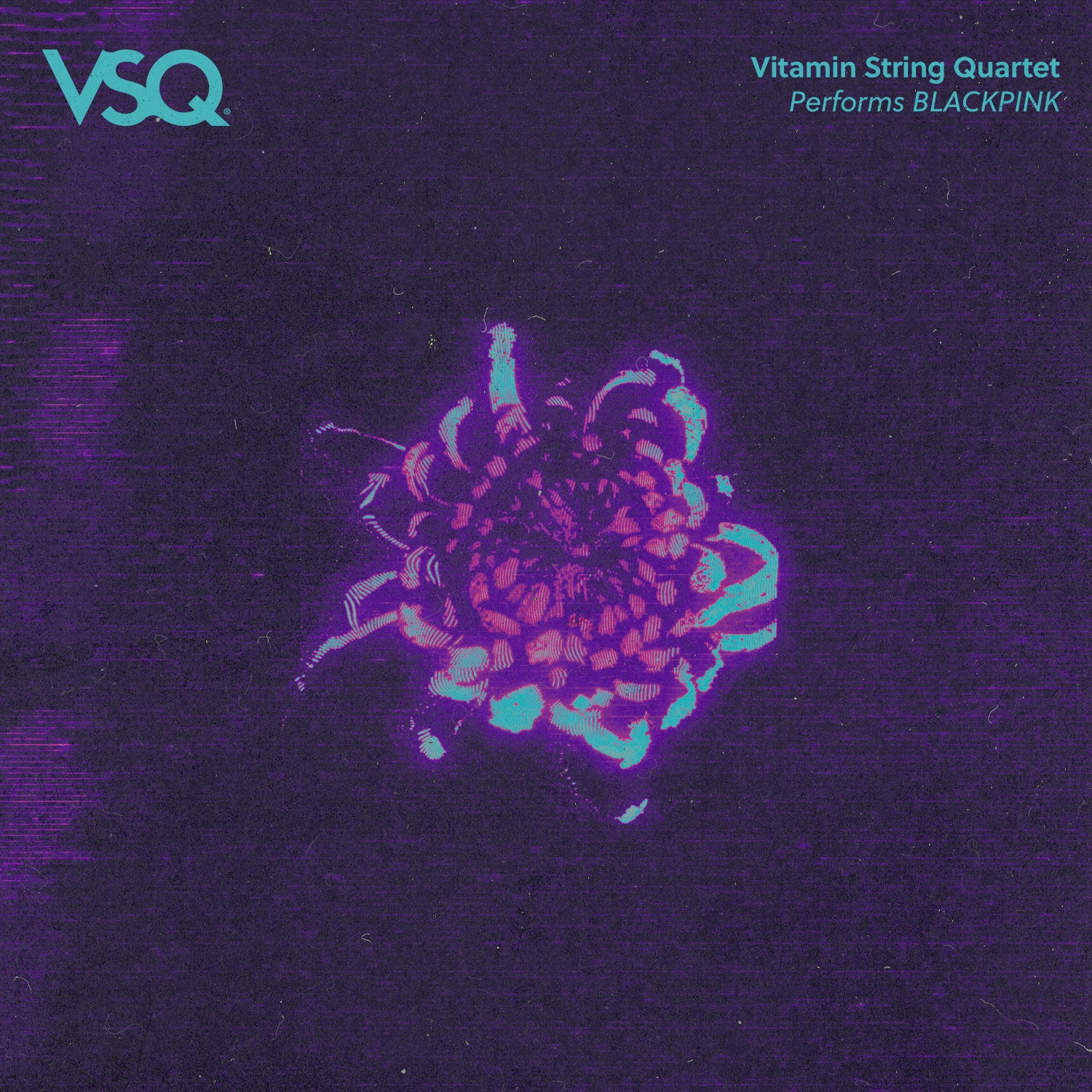 VSQ Performs BLACKPINK - MP3