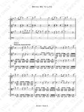Evanescence's "Bring Me to Life" as Arranged for VSQ (Sheet Music)