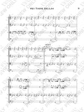 Plain White T's "Hey There Delilah" as Arranged for VSQ (Sheet Music)