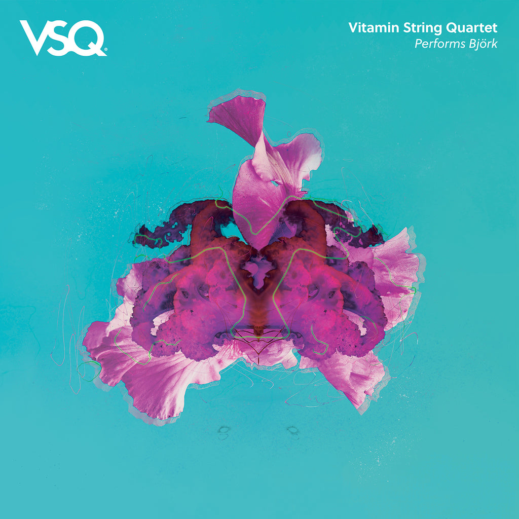 VSQ Performs Björk