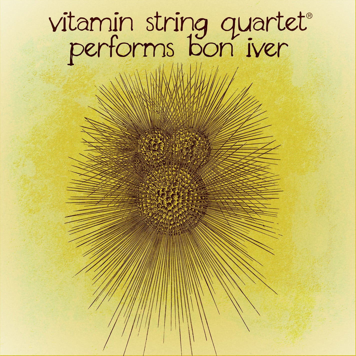 vitamin string quartet vsq bon iver tribute